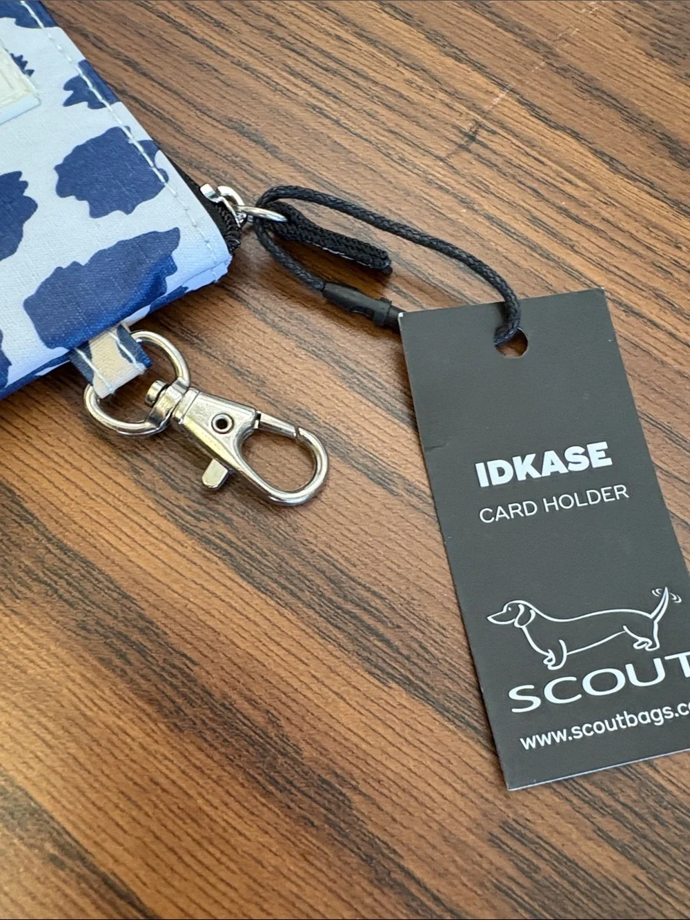 Scout new compact